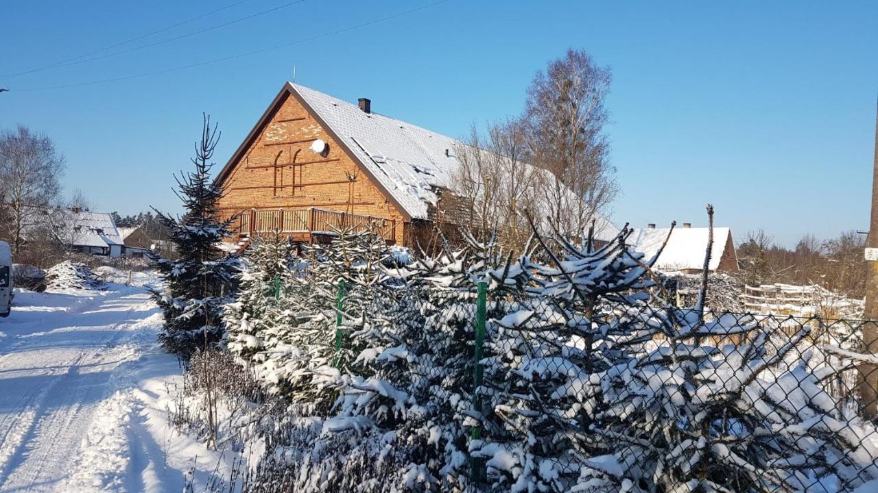 Dziewanna Appartement Brzeziniec Buitenkant foto