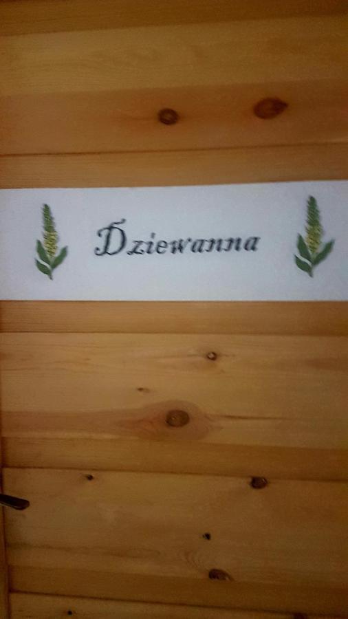 Dziewanna Appartement Brzeziniec Buitenkant foto