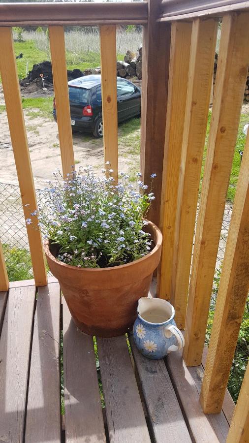Dziewanna Appartement Brzeziniec Buitenkant foto