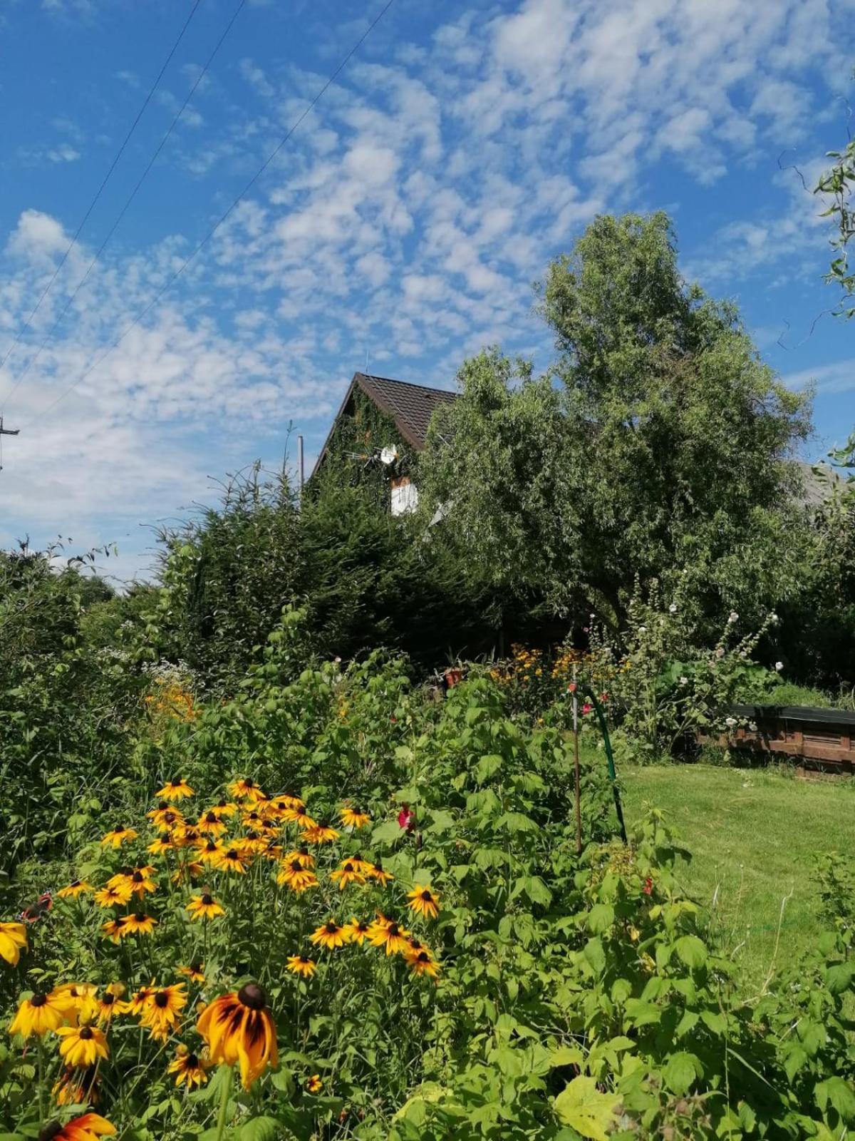 Dziewanna Appartement Brzeziniec Buitenkant foto